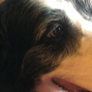 Meet your Posher, Margaret